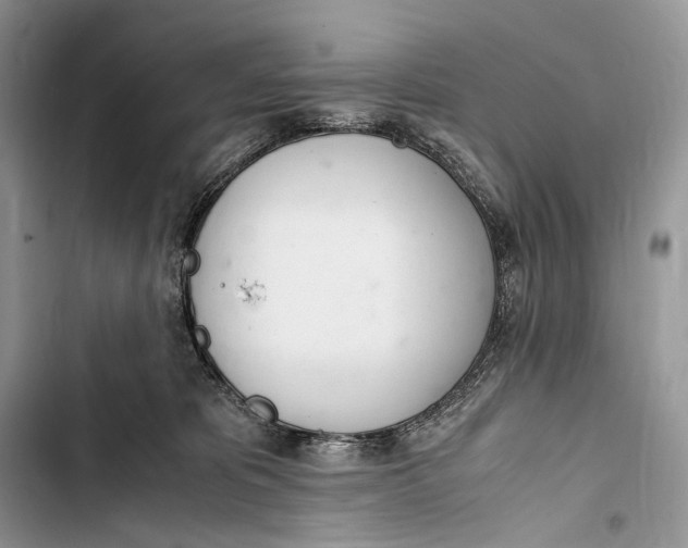 X0000103480325200810031548