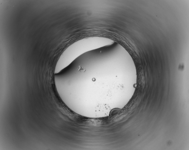 X0000103480328200810031548