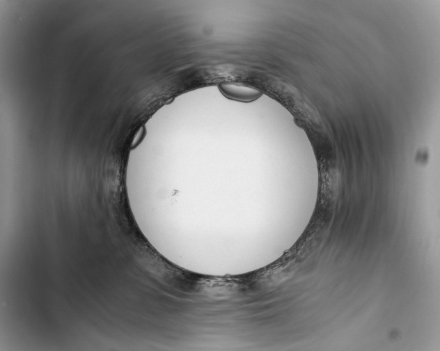 X0000103480331200810031548