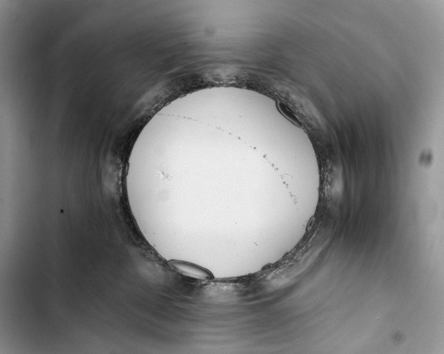 X0000103480332200810031548