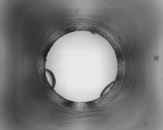 X0000103480333200810031548