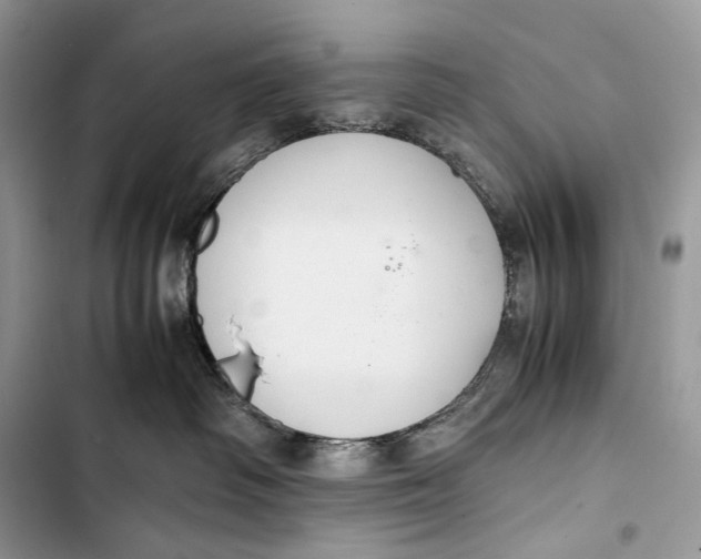 X0000103480334200810031548