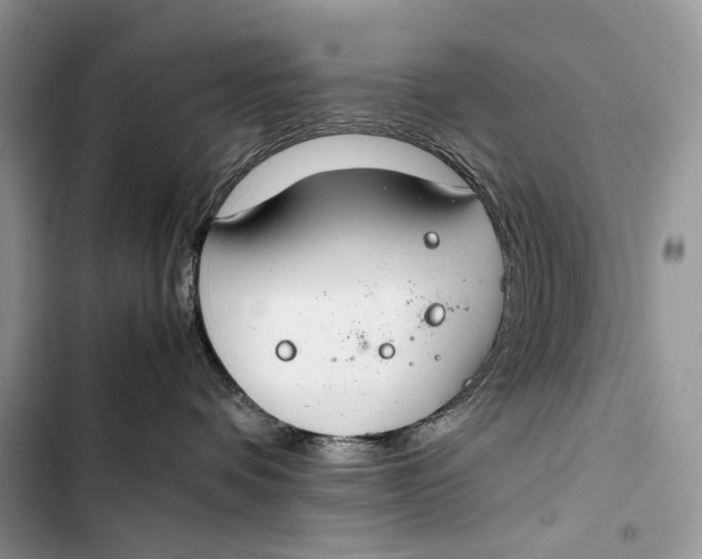 X0000103480336200810031548