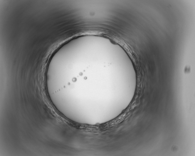 X0000103480337200810031547