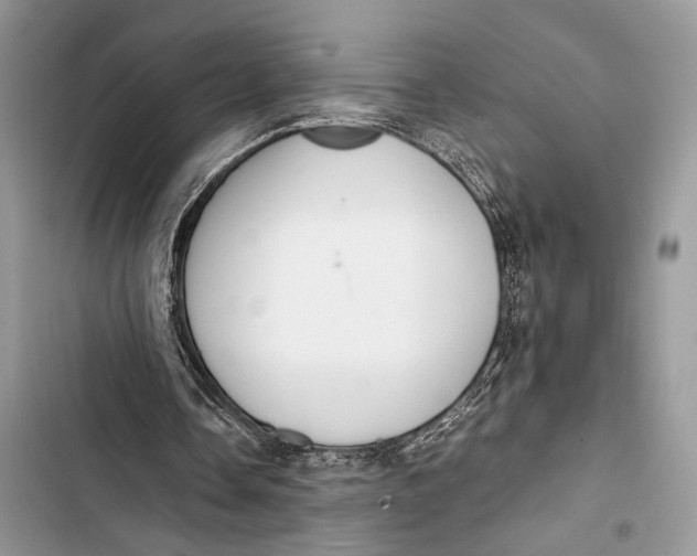 X0000103480338200810031547