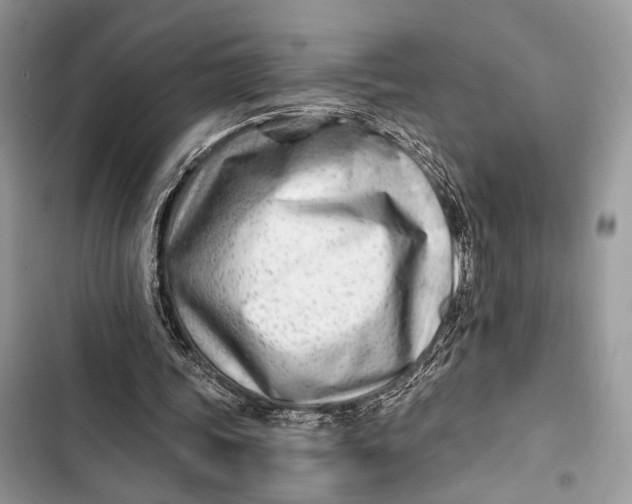 X0000103480339200810031547