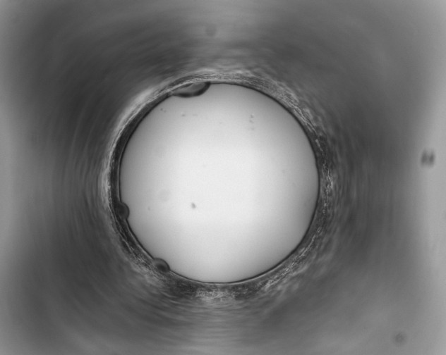 X0000103480340200810031547