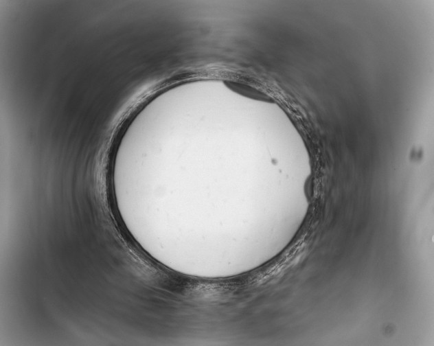 X0000103480341200810031547