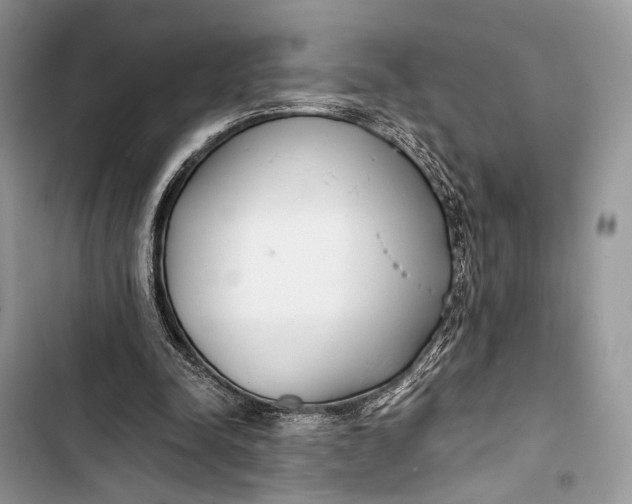 X0000103480342200810031547