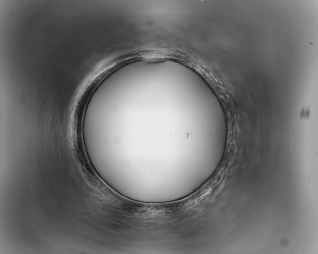 X0000103480343200810031547