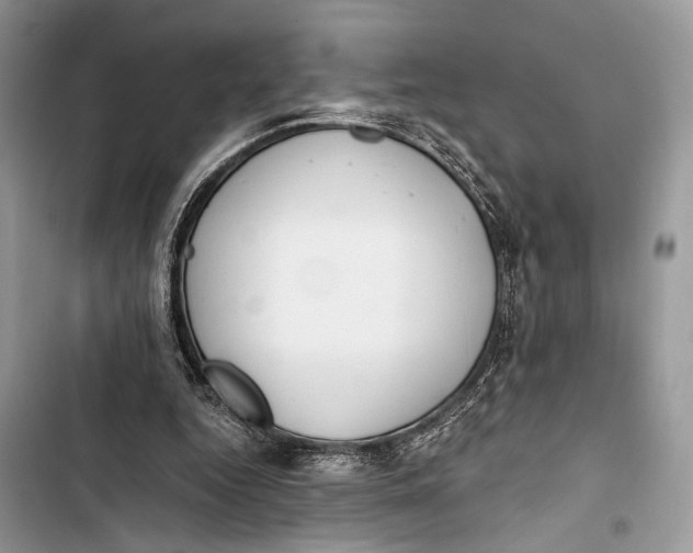 X0000103480344200810031547