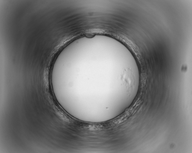 X0000103480345200810031547