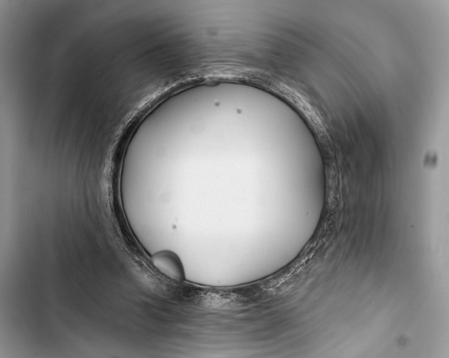 X0000103480346200810031548