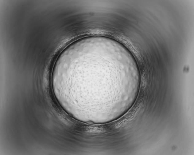 X0000103480347200810031548