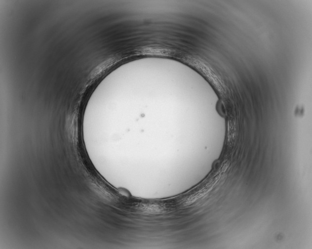 X0000103480349200810031548