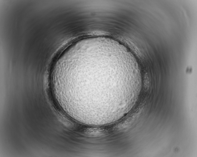 X0000103480351200810031548