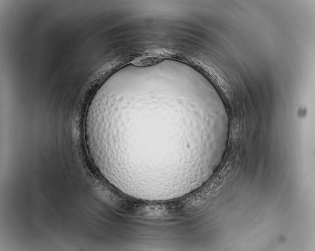 X0000103480353200810031548