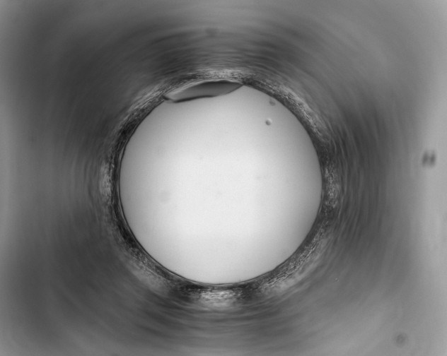 X0000103480357200810031548