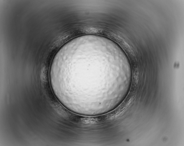 X0000103480359200810031548