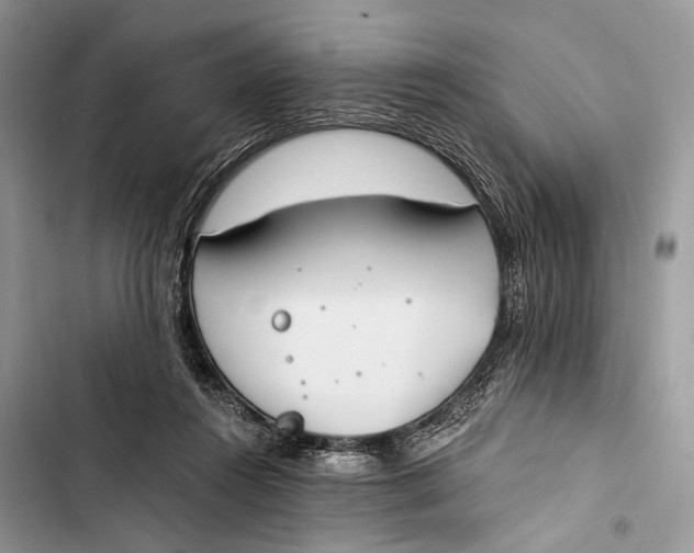 X0000103480360200810031548