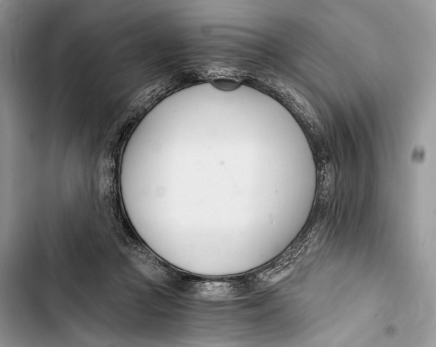 X0000103480361200810031548