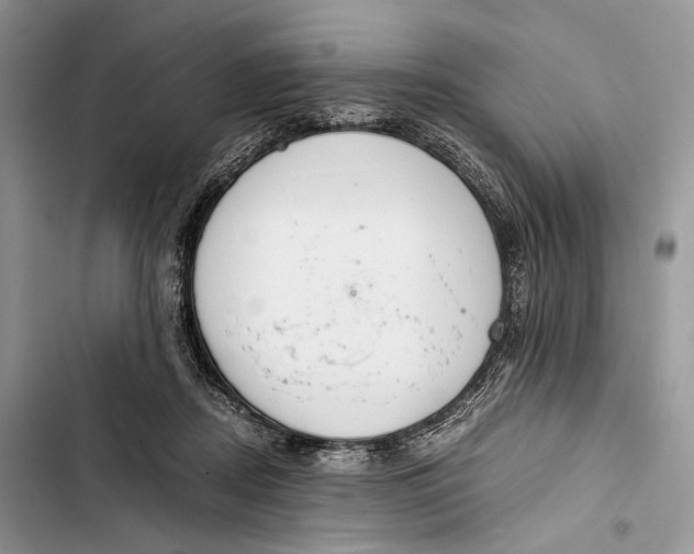 X0000103480362200810031548