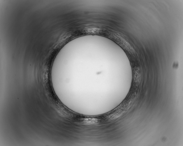 X0000103480363200810031548