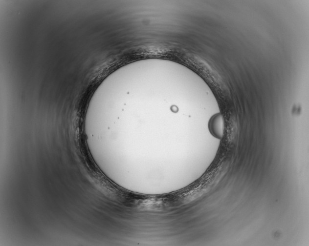 X0000103480366200810031548