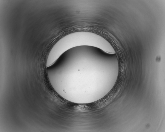 X0000103480372200810031548