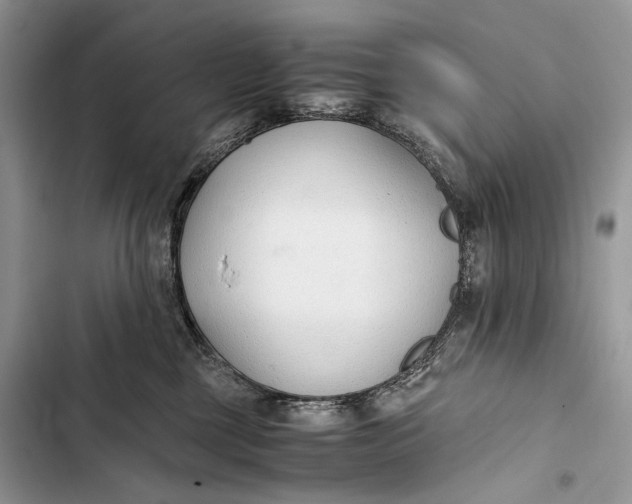 X0000103480377200810031548