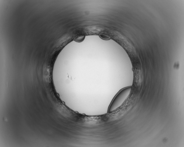 X0000103480378200810031548