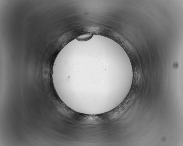 X0000103480379200810031548