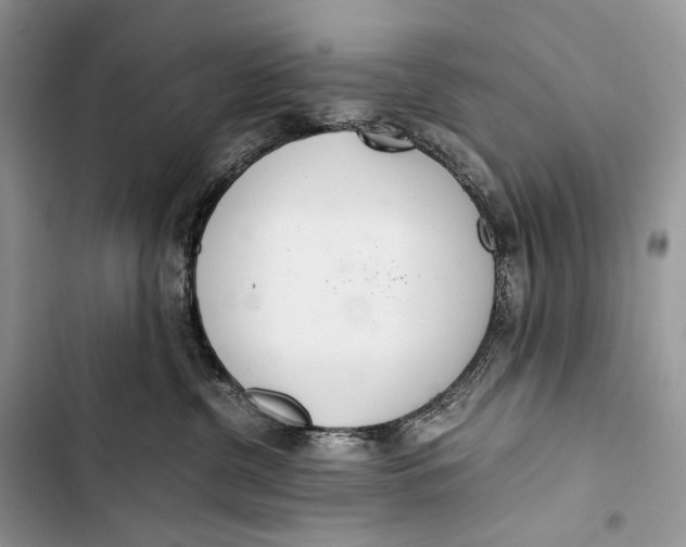 X0000103480380200810031548