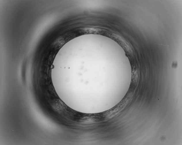 X0000103480381200810031548