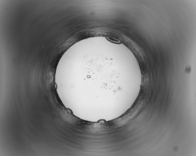 X0000103480382200810031548