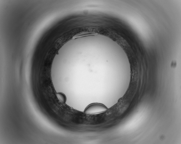 X0000103480383200810031548