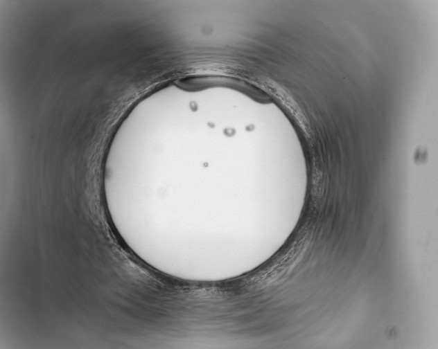 X0000103480385200810031547