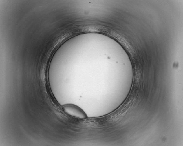 X0000103480386200810031547