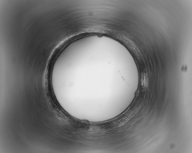 X0000103480388200810031547