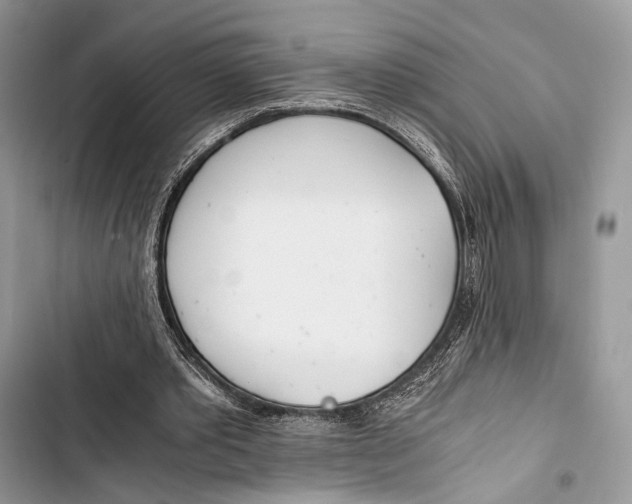 X0000103480389200810031547