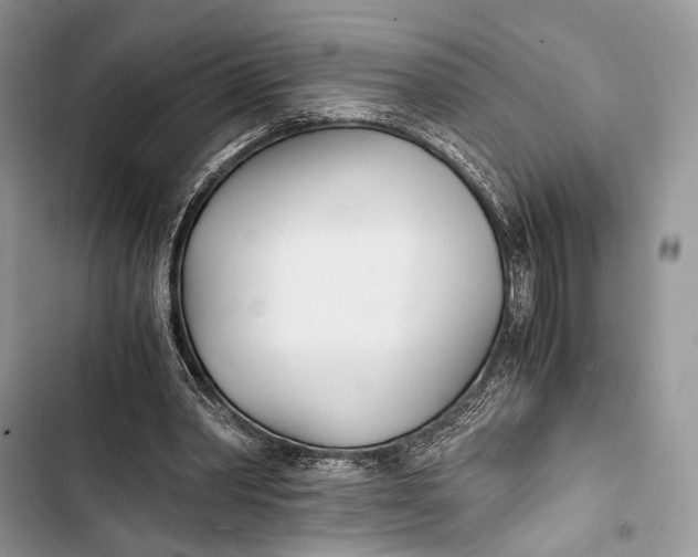 X0000103480390200810031547