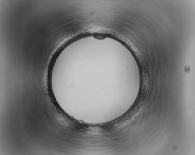 X0000103480391200810031547