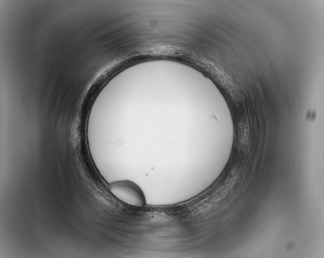 X0000103480392200810031547