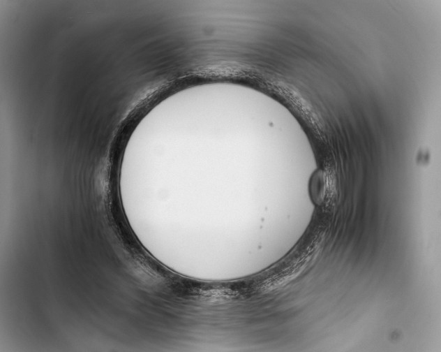 X0000103480396200810031547