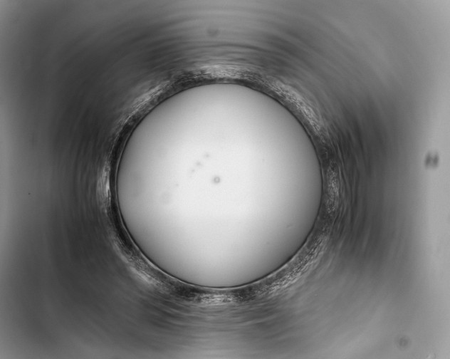 X0000103480398200810031547