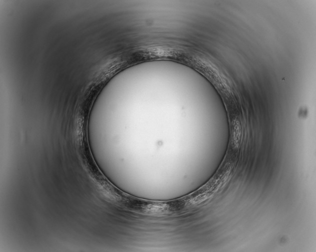 X0000103480410200810031547