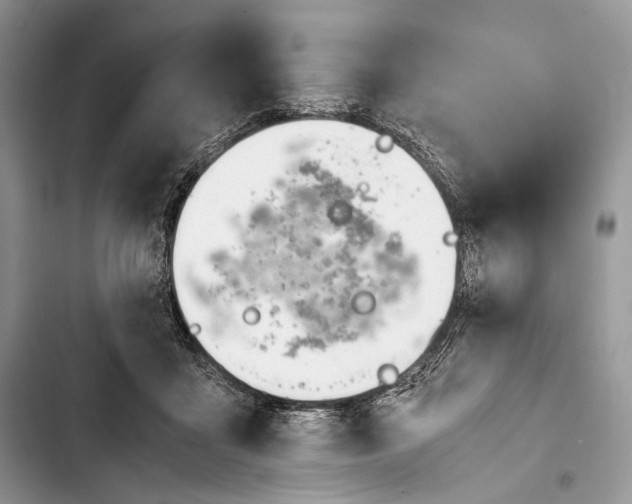 X0000103480411200810031547