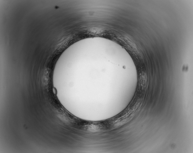 X0000103480412200810031547