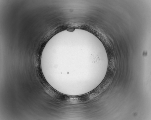 X0000103480413200810031547