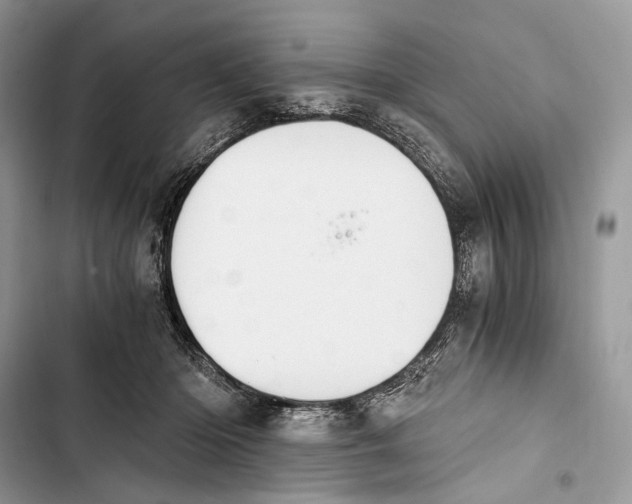 X0000103480414200810031547